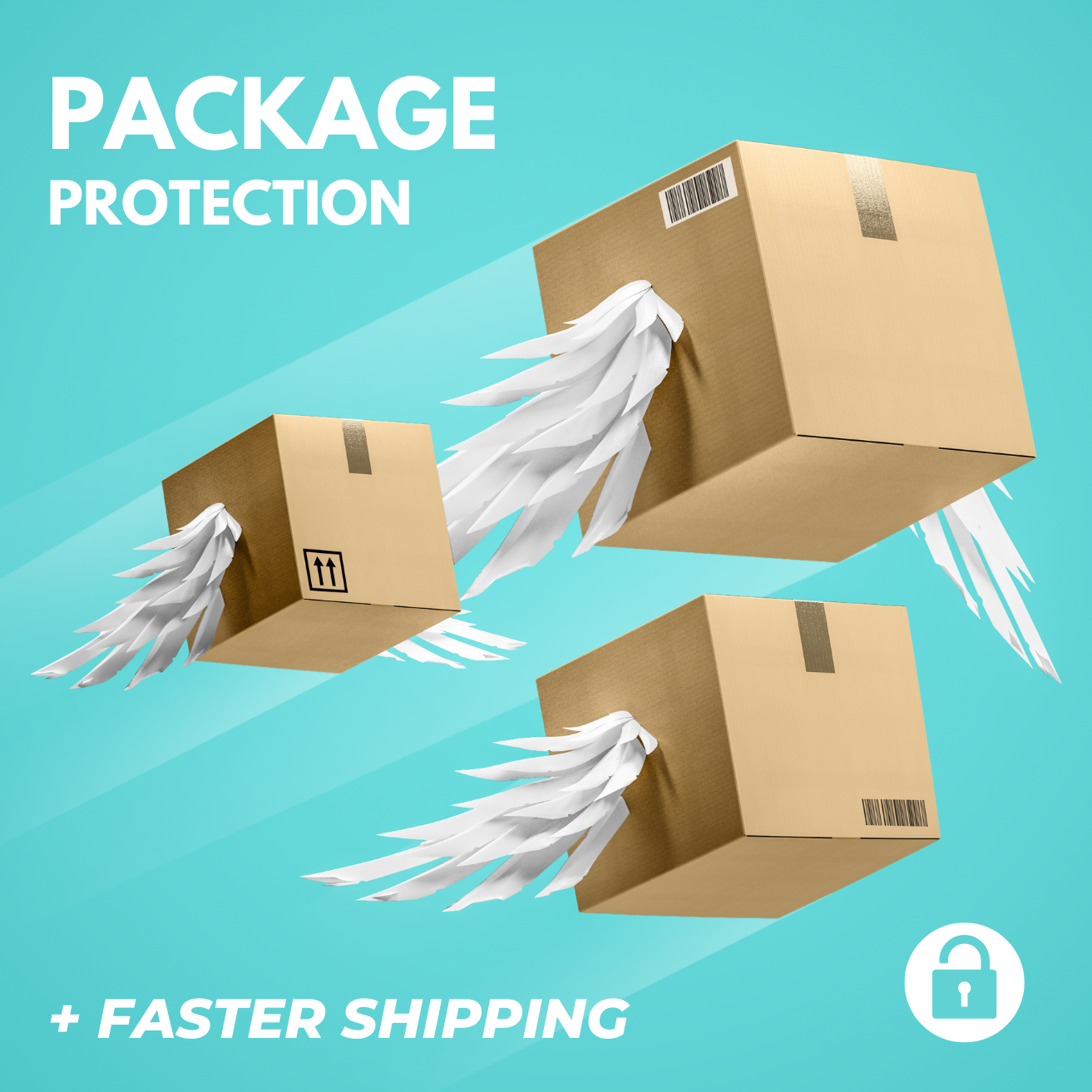 Shipping Protection